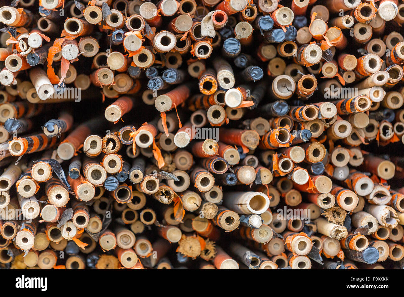 Gathered bamboo posts. Stock Photo