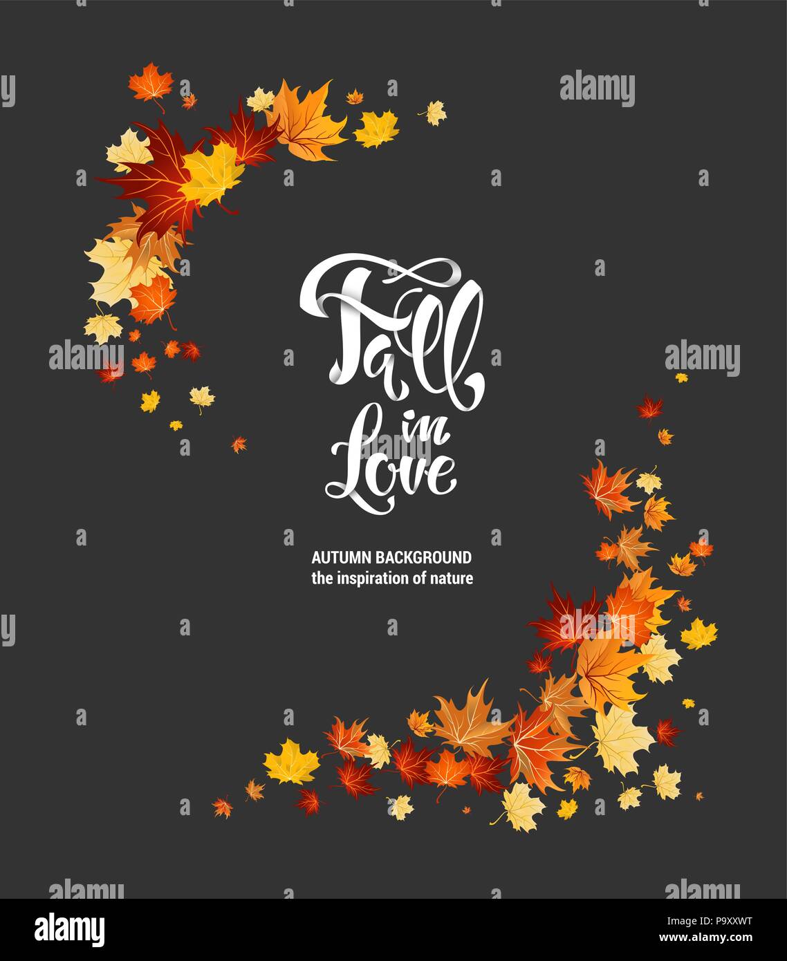 maple leaves as frame on dark background Stock Vector