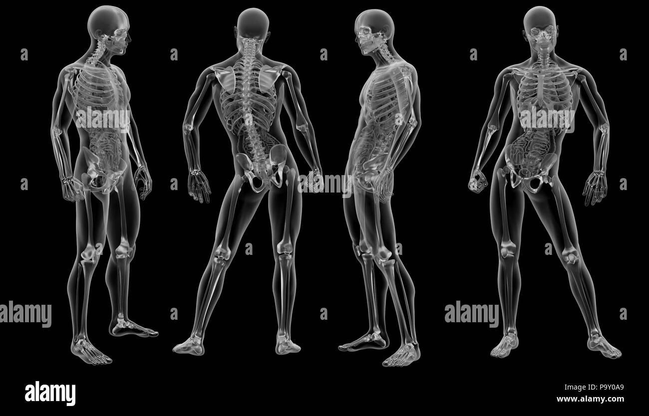 3d rendering skeleton by X-rays Stock Photo - Alamy