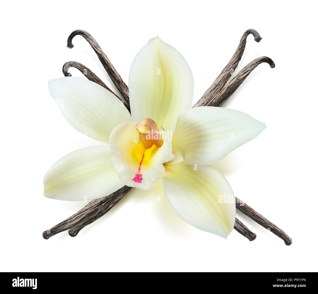 Vanilla pods and orchid flower hires stock photography and images Alamy