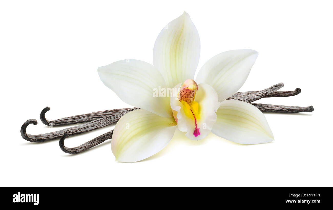 Vanilla beans plant hires stock photography and images Alamy