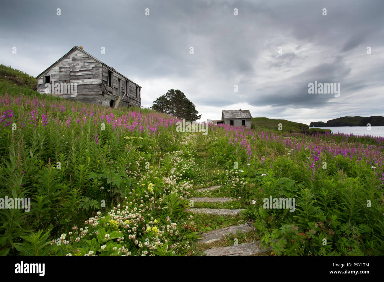 Old buildings in Unga village, Alaska Stock Photo