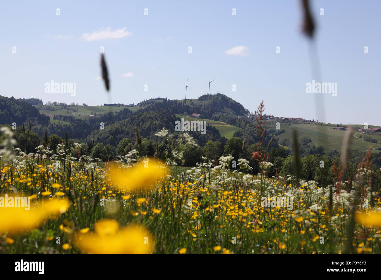 Beautiful countryside in Saulcy, Jura, Franches Montagnes, Switzerland Stock Photo