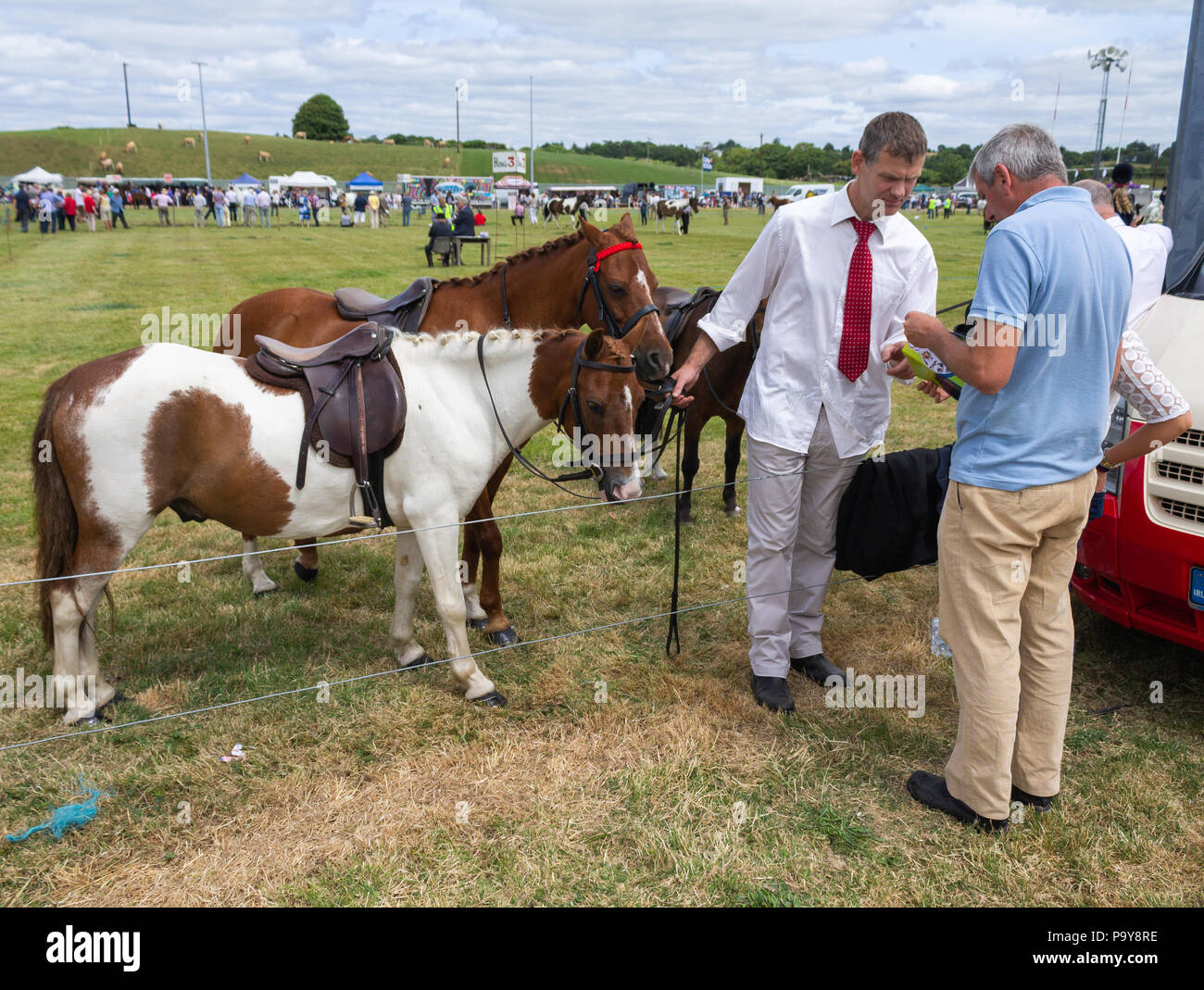 rural cattle and horse show and livestock competition in west cork, Ireland Stock Photo