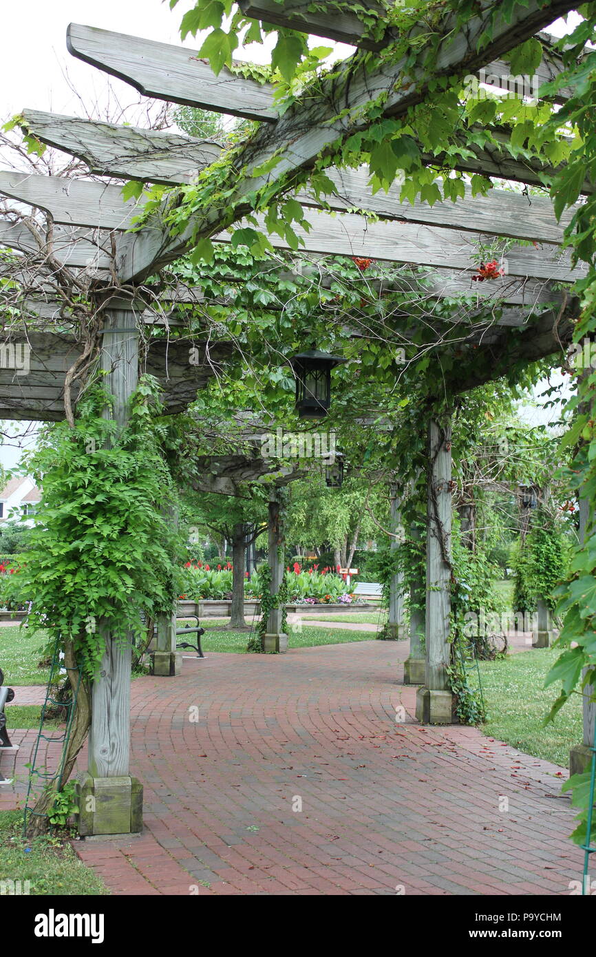 Trellis Screen High Resolution Stock Photography And Images Alamy