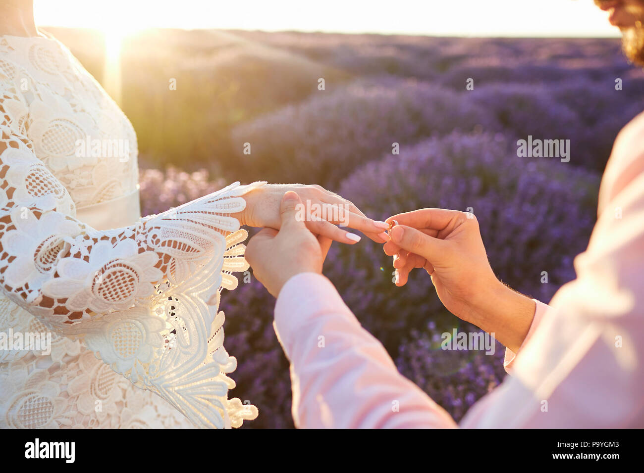 Marriage proposal in a field of lavender. Stock Photo