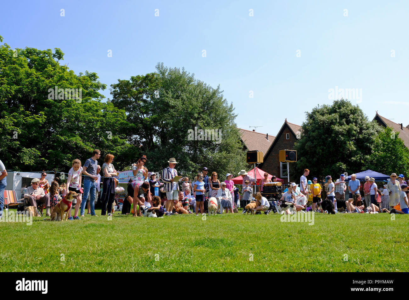 East Preston, West Sussex, UK. Fun dog show held on village green - competitors waiting in line to show their dogs Stock Photo