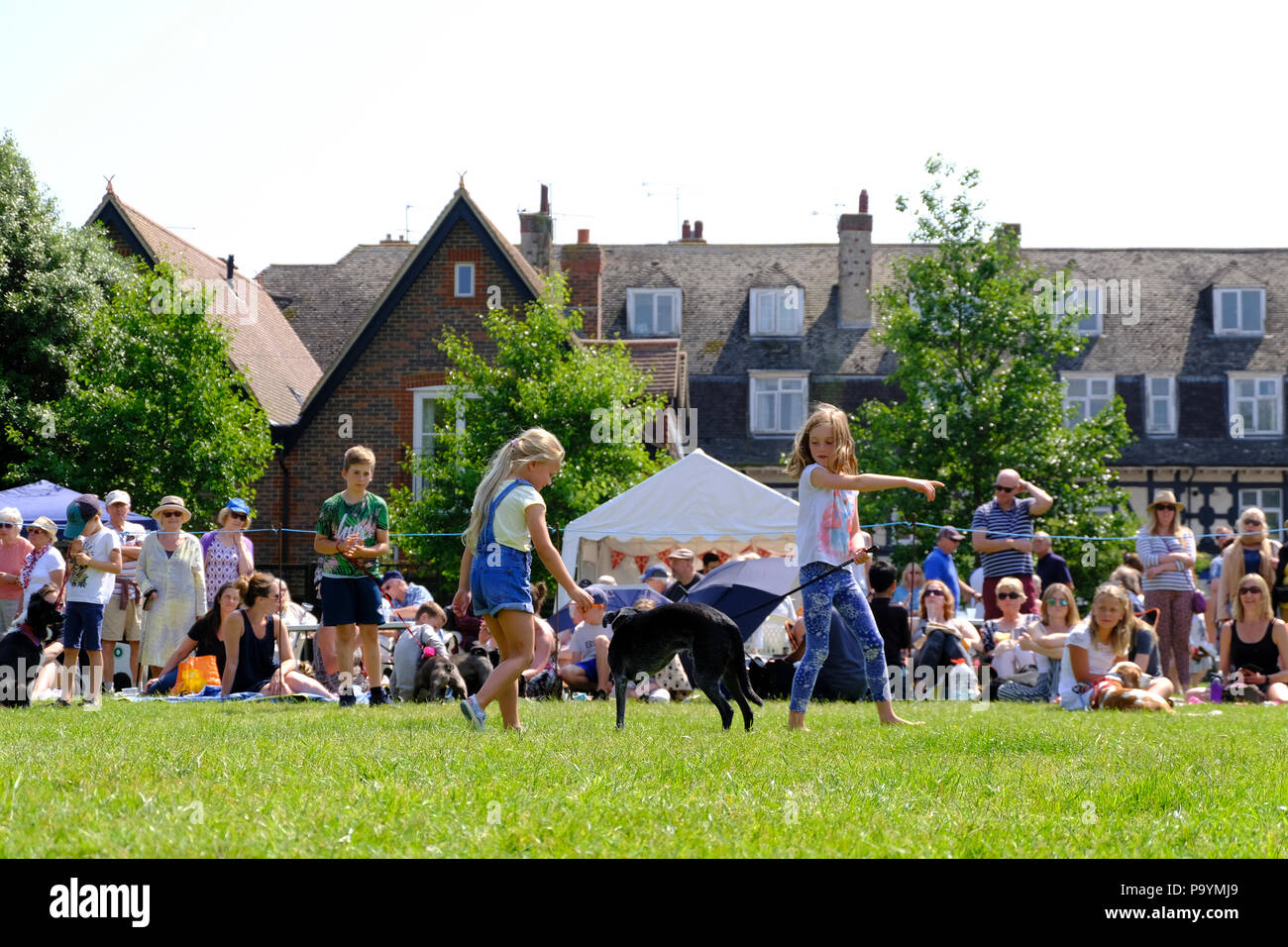 East Preston, West Sussex, UK. Fun dog show held on village green. Young girls showing their pet three legged dog. Stock Photo
