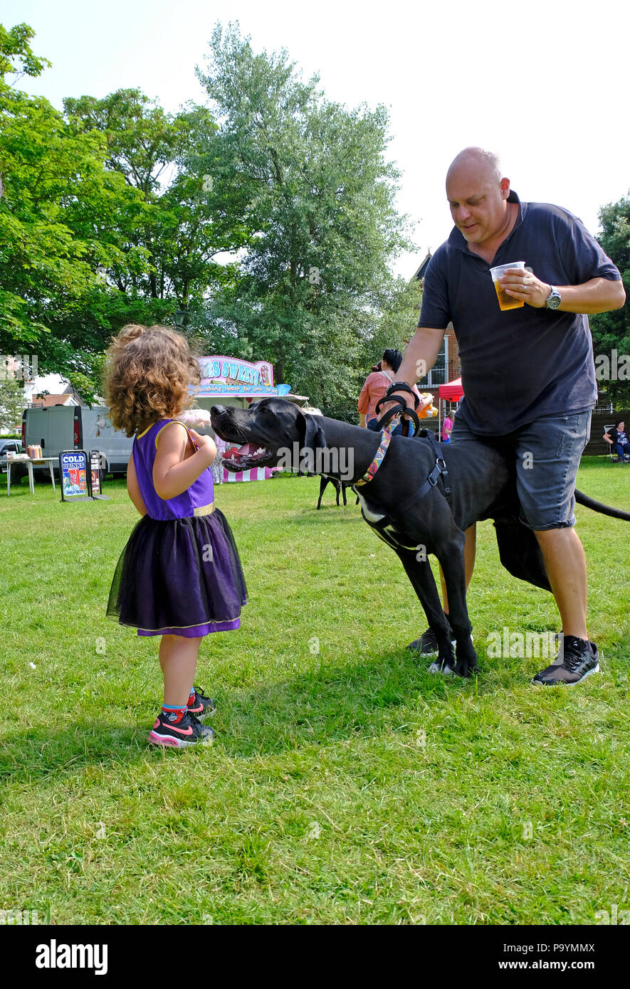 Little girl making friends with a Great Dane dog at East Preston village dog show Stock Photo