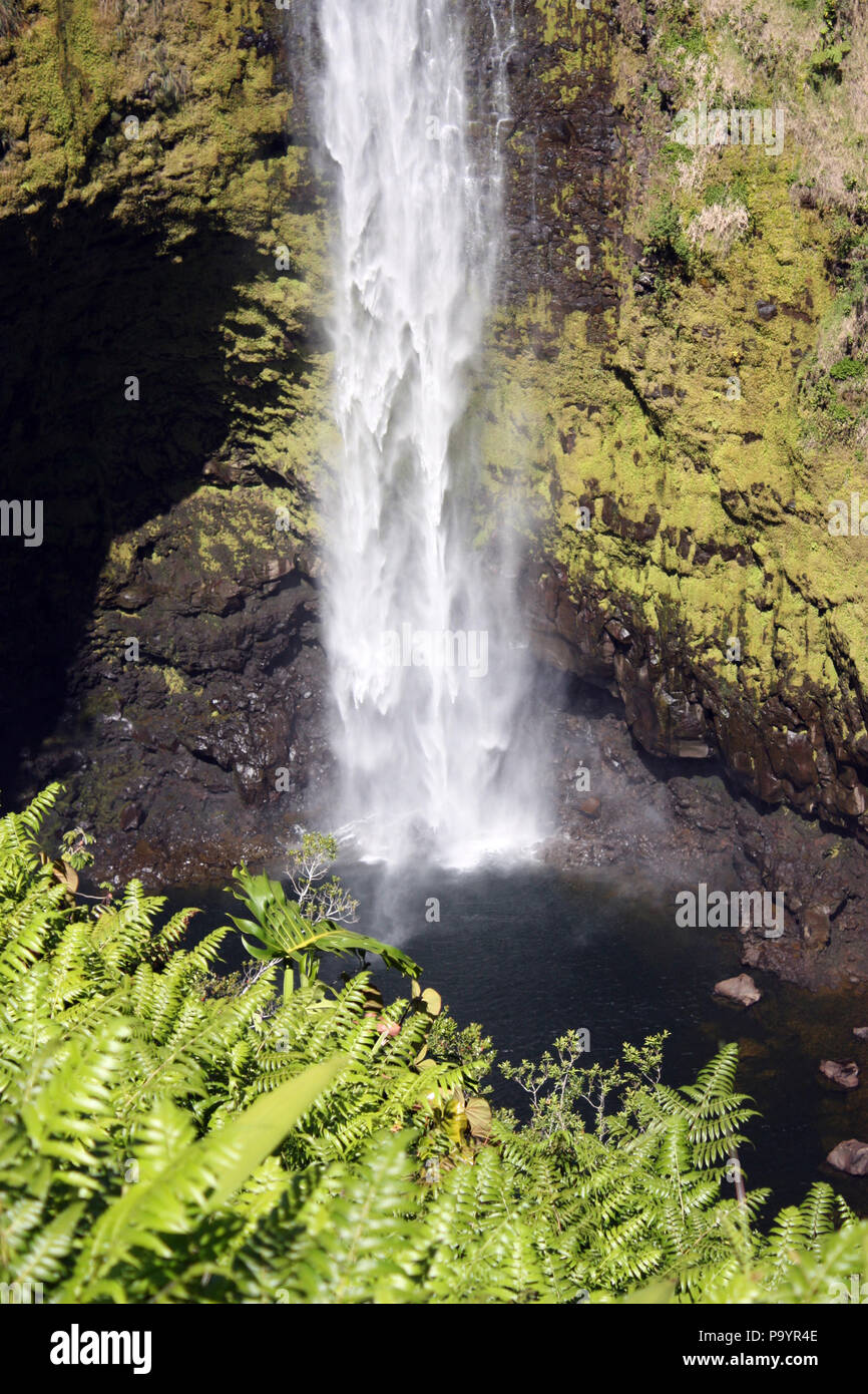 The bottom of a waterfall with a rainbow crossing the cascading water in a rainforest at Akaka