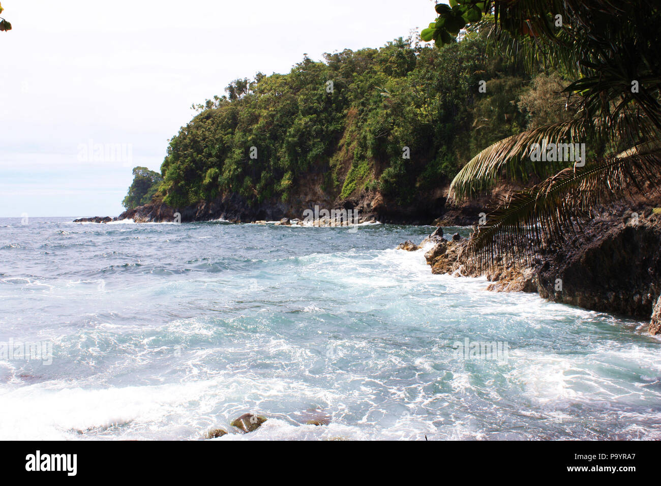 The Pacific Ocean at Onomea Bay in Papaikou, Hawaii, lined with cliffs