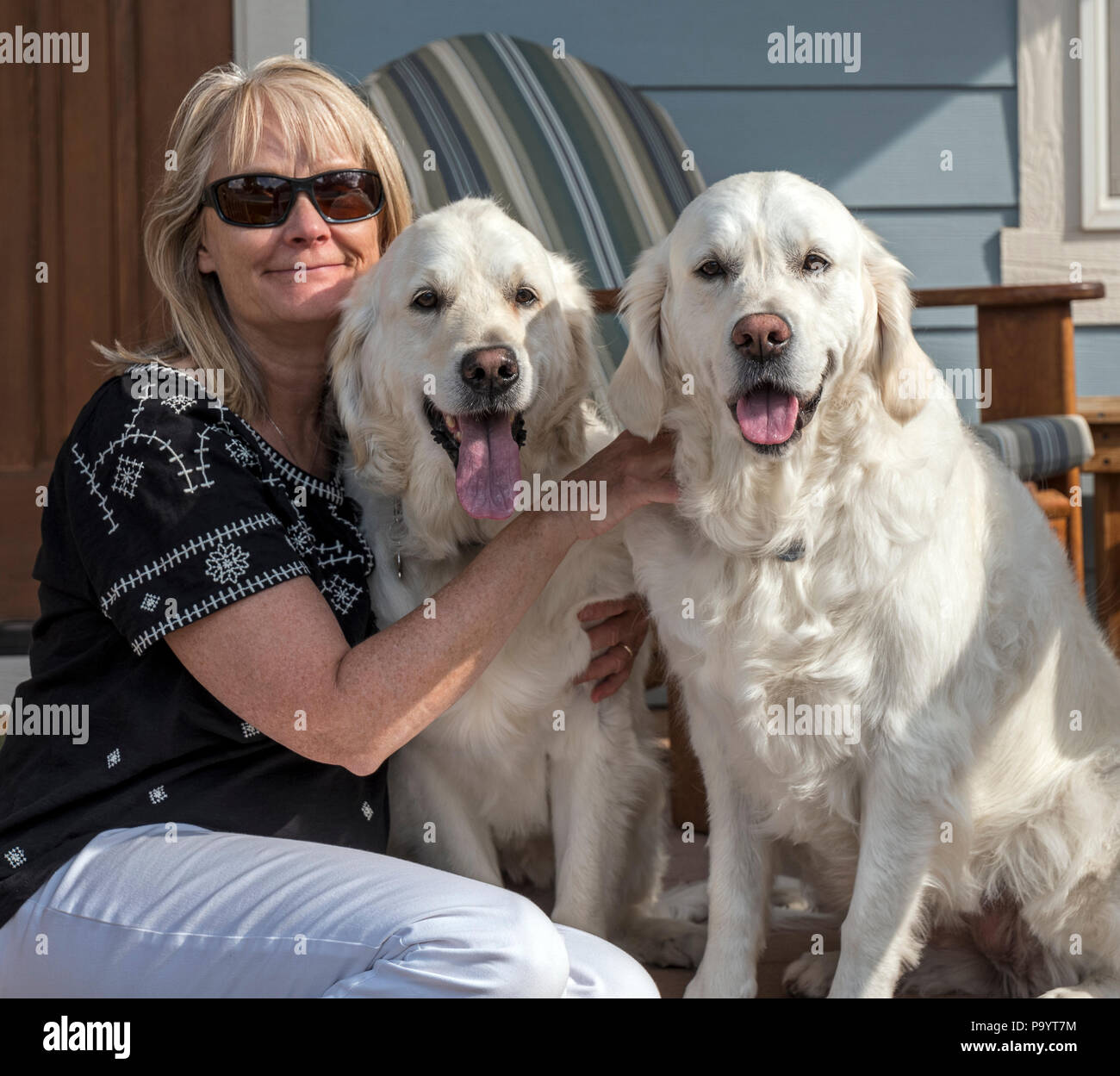 Outdoor portrait of woman with her two beautiful Platinum colored Golden Retriever Dogs; Salida; Colorado; USA Stock Photo