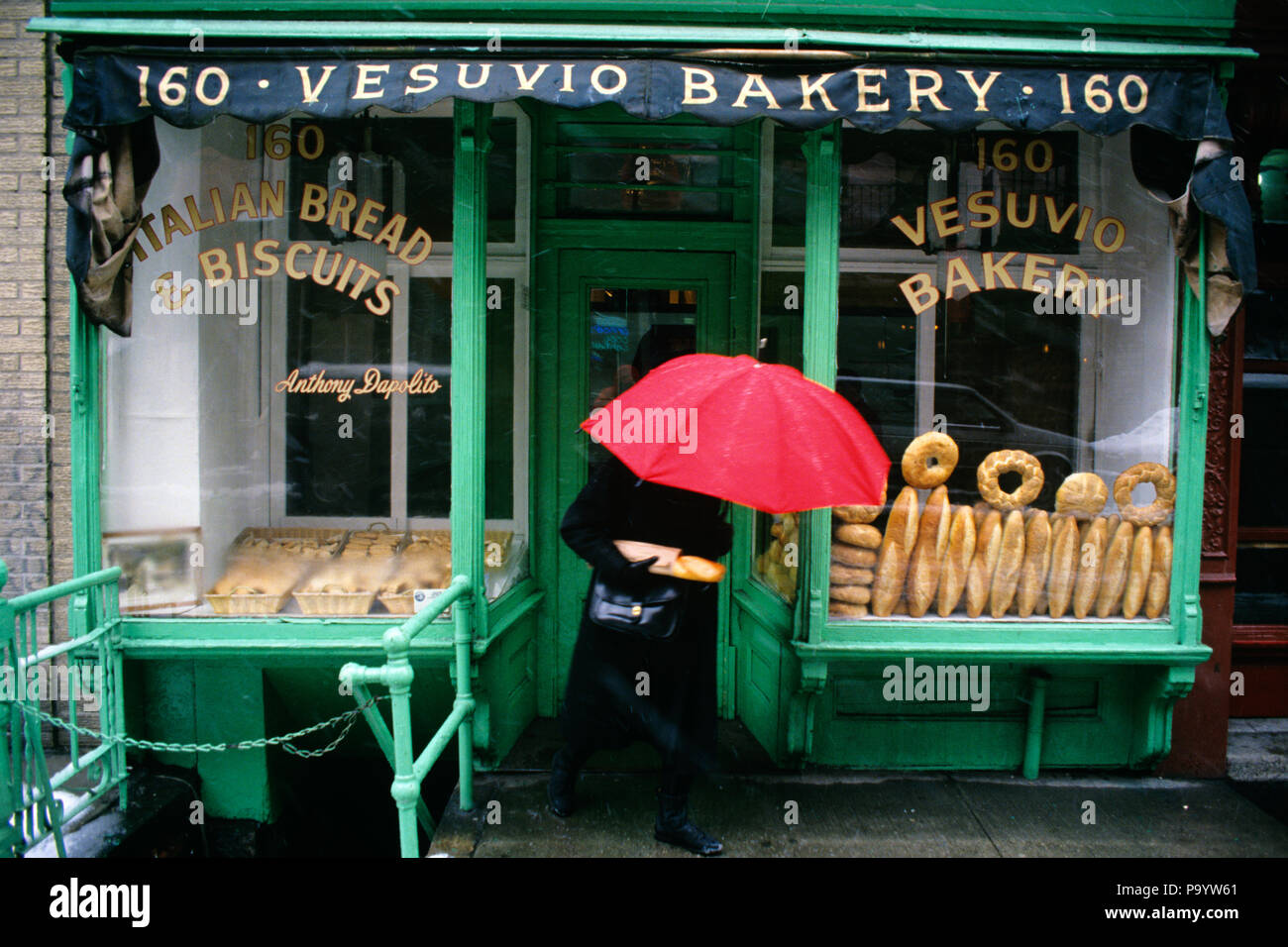 1990s WOMAN WITH RED UMBRELLA LEAVING BREAD SHOP SOHO NEW YORK CITY NEW YORK USA - ks32812 KRD001 HARS WELCOME YOUNG ADULT CENTER ITALIAN MYSTERY JOY LIFESTYLE SPEED SATISFACTION FEMALES GROWNUP HEALTHINESS NATURE UNITED STATES FULL-LENGTH LADIES PHYSICAL FITNESS PERSONS SHOPS UNITED STATES OF AMERICA UMBRELLAS RAINING NY WINDOWS SUCCESS LOAF HAPPINESS URBAN CENTER WELLNESS NEIGHBORHOOD ADVENTURE CUSTOMER SERVICE SILHOUETTED EXCITEMENT EXTERIOR GOTHAM PRIDE MOOD NYC NEW YORK BAKERY CITIES NOURISHMENT STYLISH NEW YORK CITY ANONYMOUS STAFF OF LIFE YOUNG ADULT WOMAN BIG APPLE HURRY OLD FASHIONED Stock Photo
