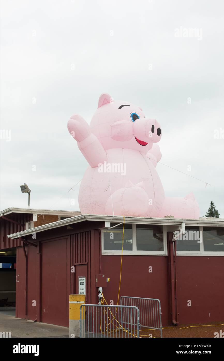giant inflatable pig