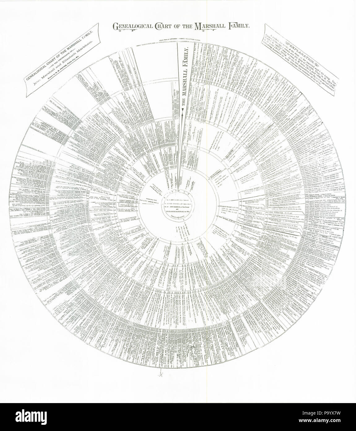 Geneological Chart