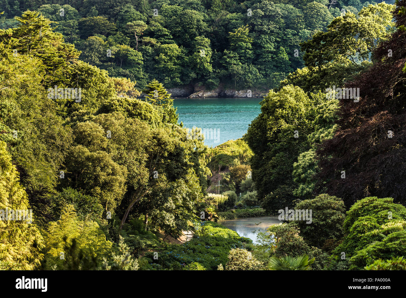 A view down the wooded vally at Trebah Garden in Cornwall. Stock Photo