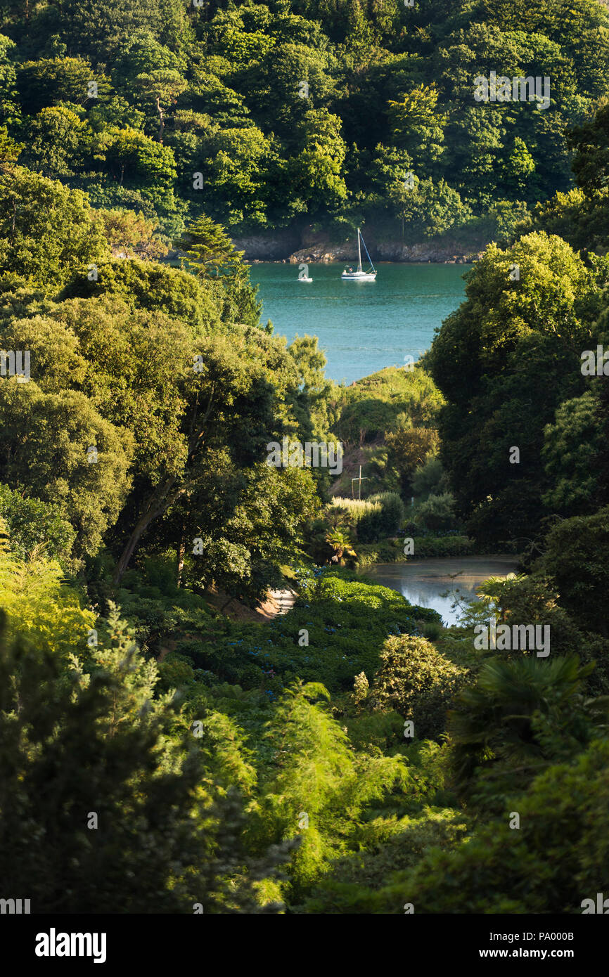 A view down the wooded vally at Trebah Garden in Cornwall. Stock Photo