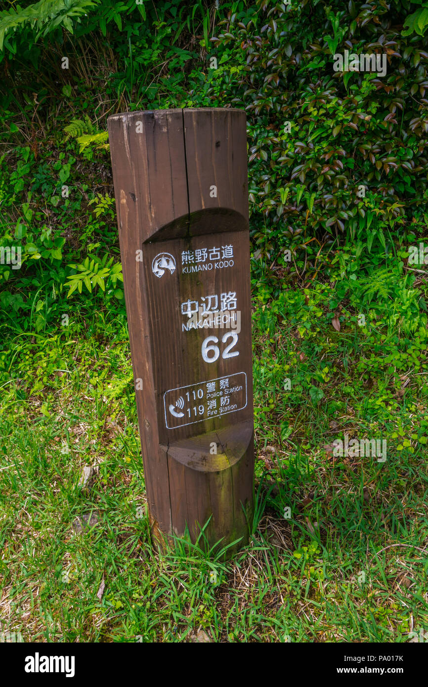 Kumano Kodo pilgrimage route. Way to Mizunomi-oji. Nakahechi. Wakayama Prefecture.  Kii Peninsula. Kansai region. Honshü Island . UNESCO. Japan Stock Photo