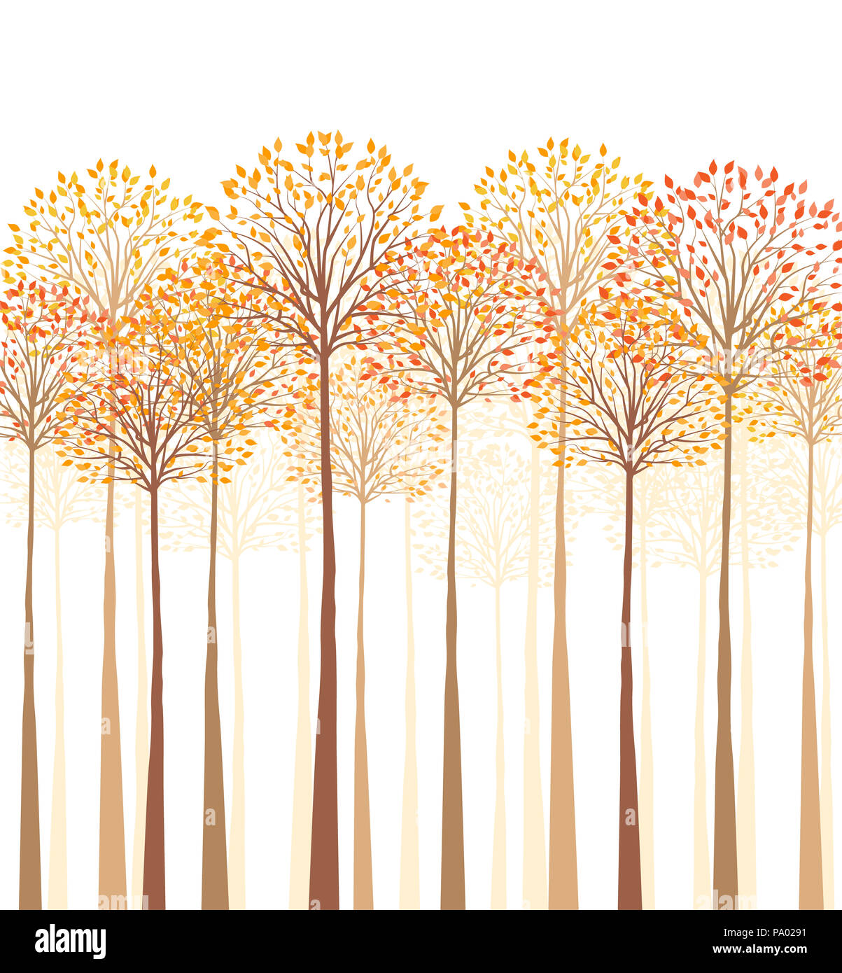 Vector autumn tree on a white background Stock Photo - Alamy