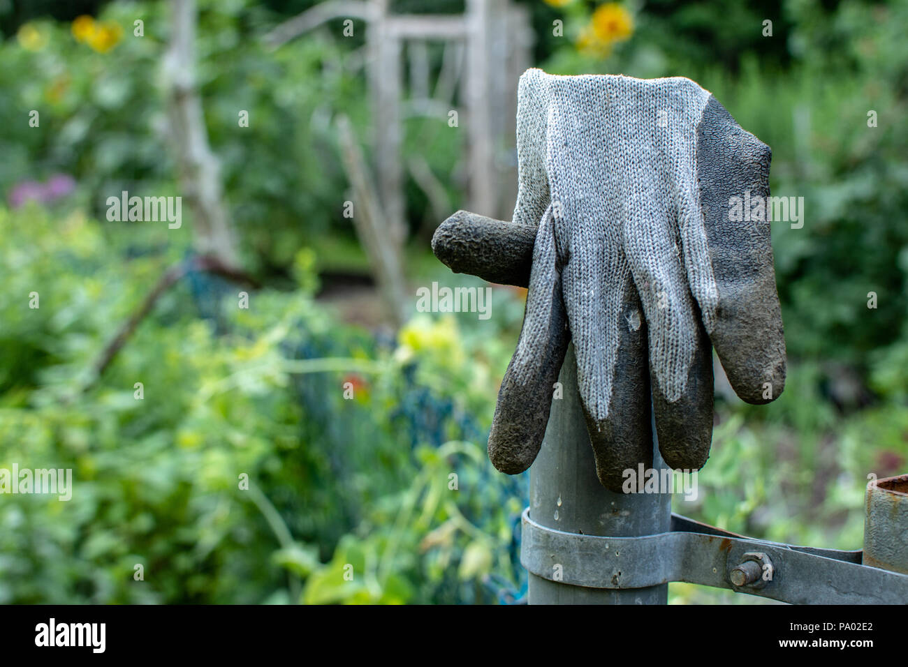 Garden glove on a post in the garden Stock Photo