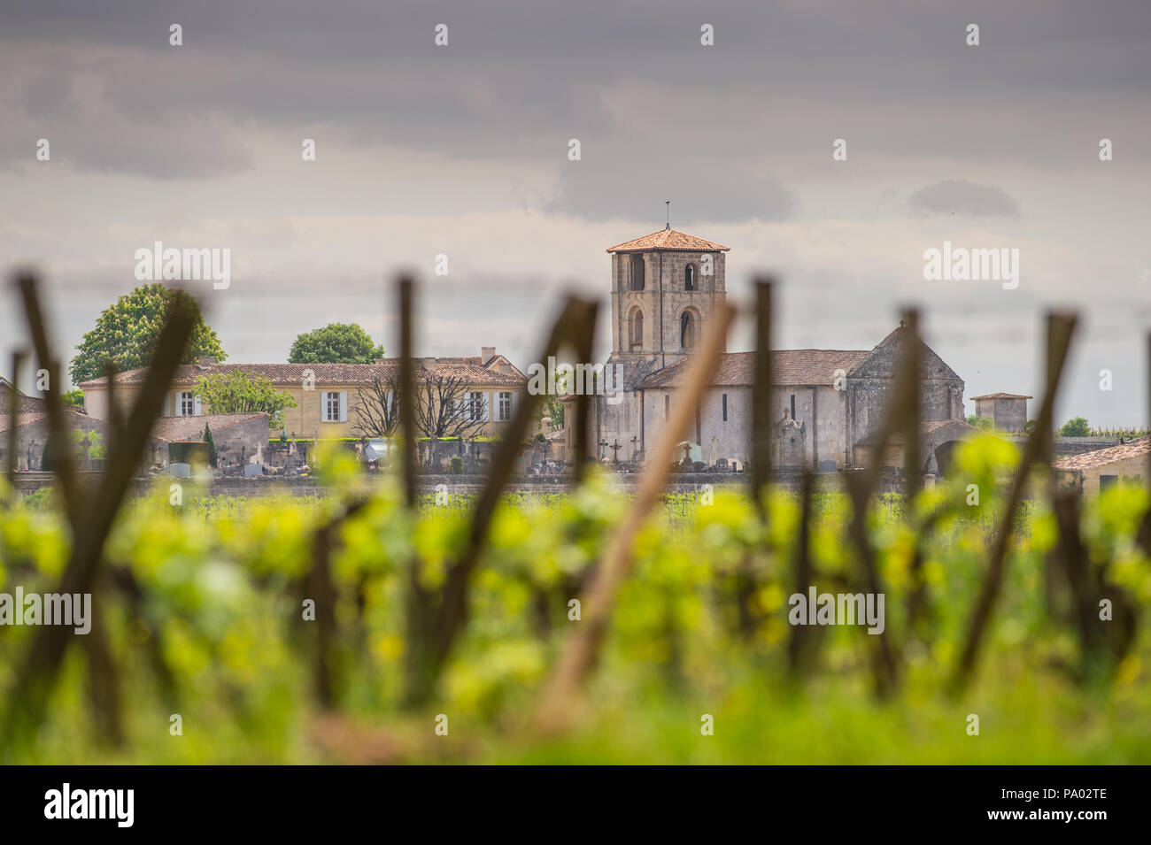 Vineyards of Saint Emilion, Bordeaux Vineyards, France Stock Photo