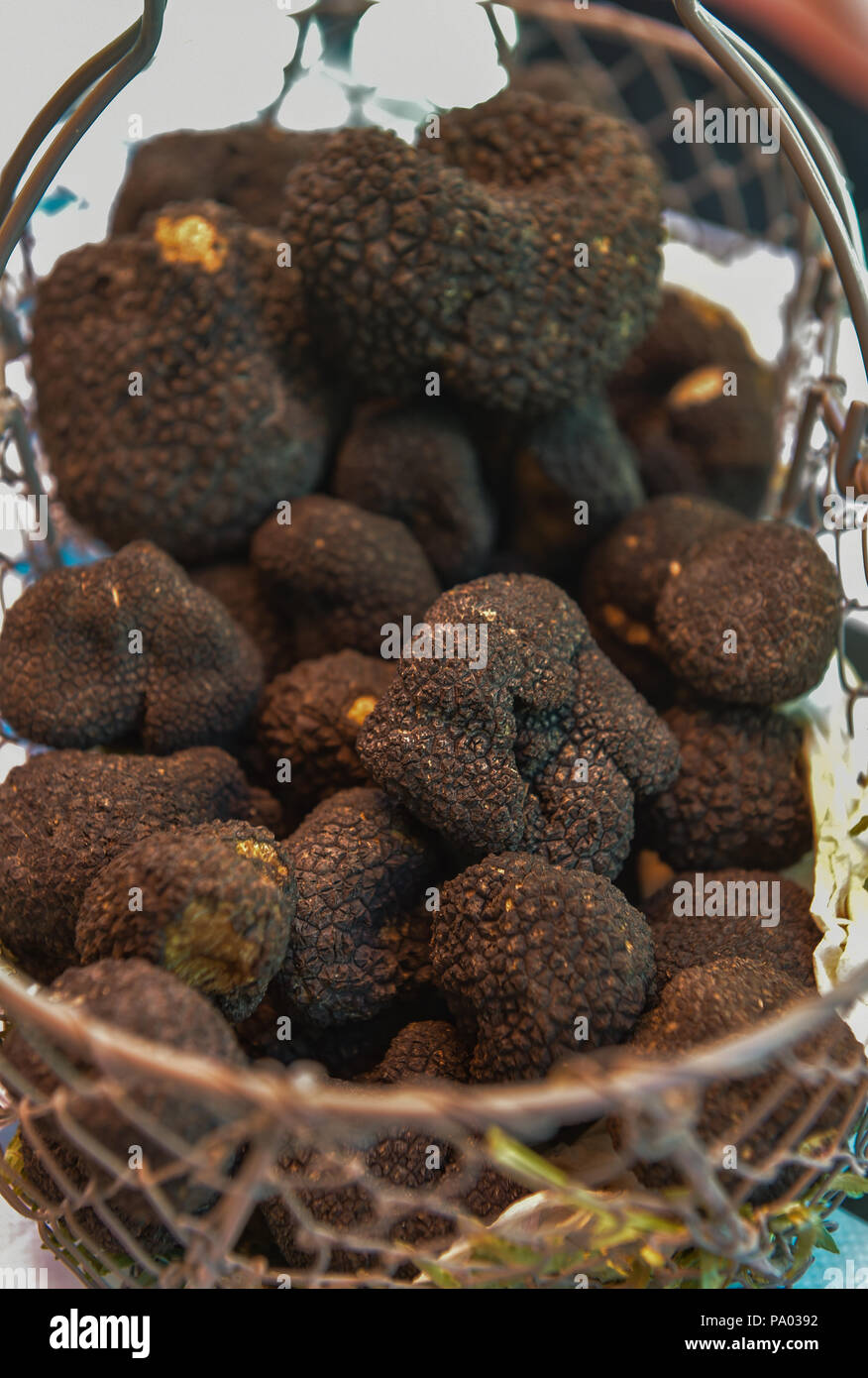 Fresh french black truffles in a basket, Perigord Stock Photo