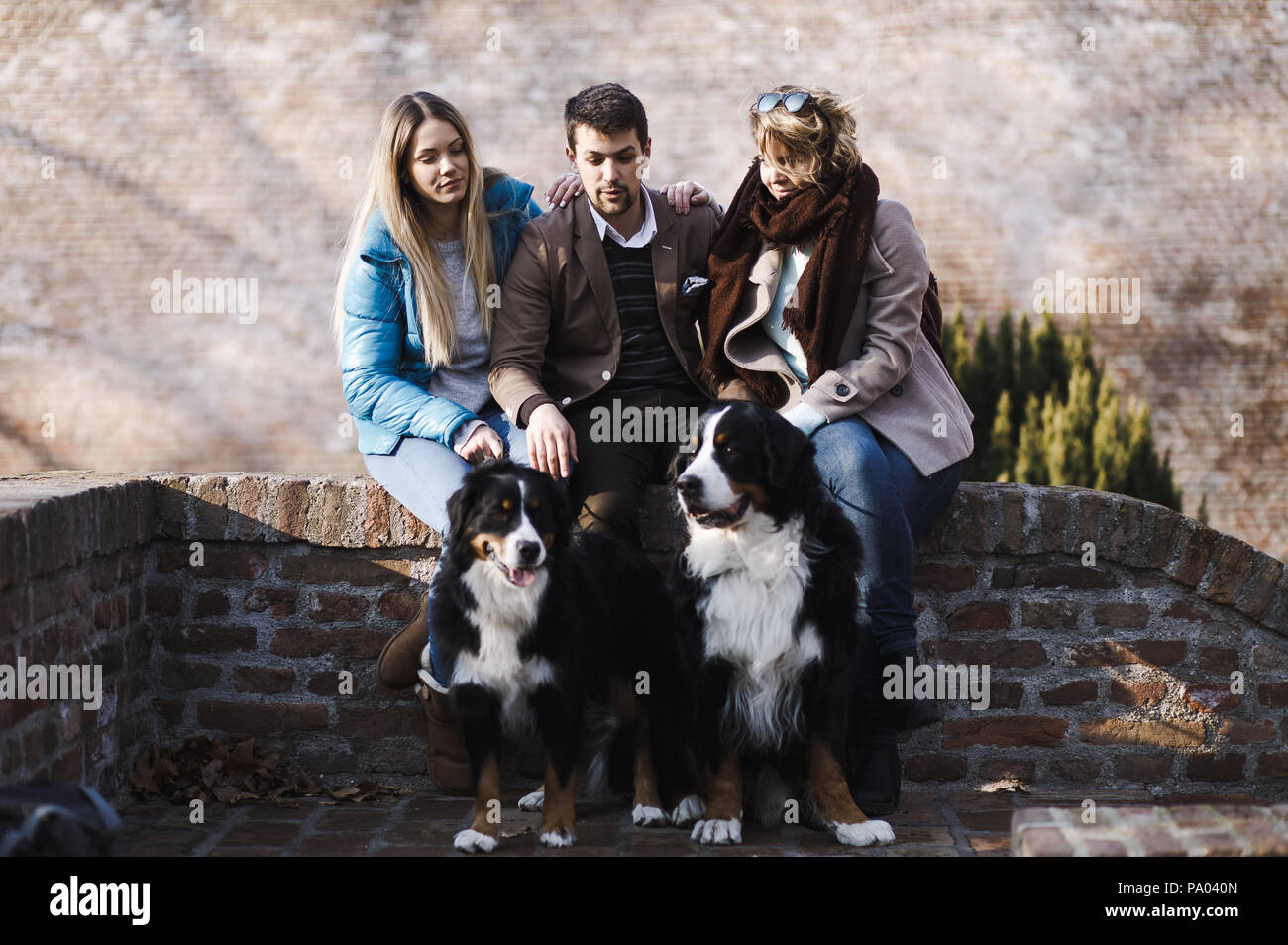 Man with two women friends enjoying autumn afternoon with his two Bernese mountain dogs Stock Photo