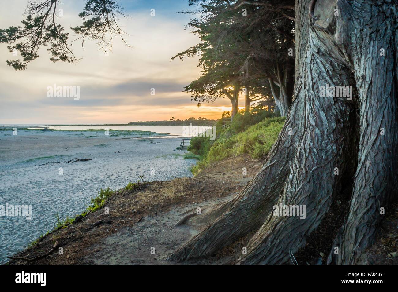 Inverloch surf beach hires stock photography and images Alamy