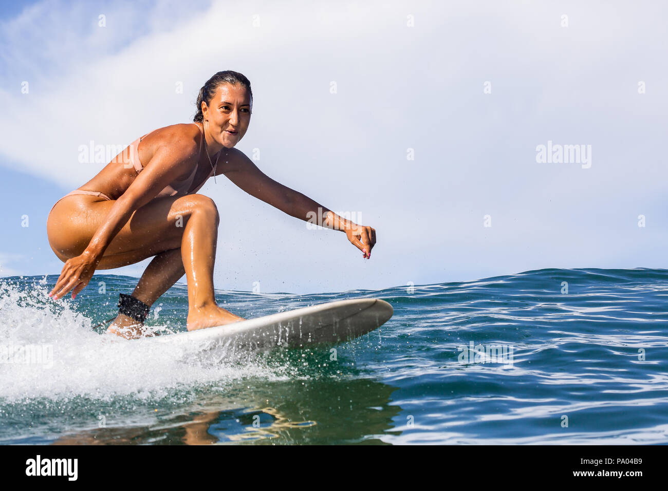 surf bikini sale