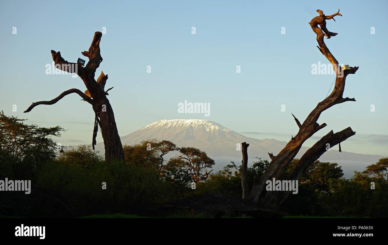 landscape in kenyan national park with mount kilimanjaro Stock Photo
