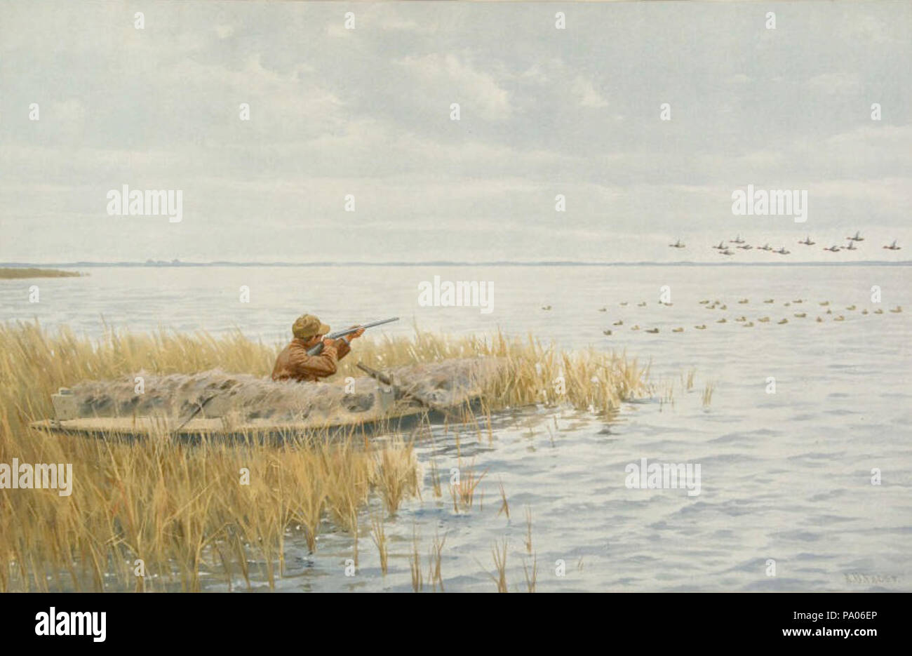 Duck blind hi-res stock photography and images - Alamy