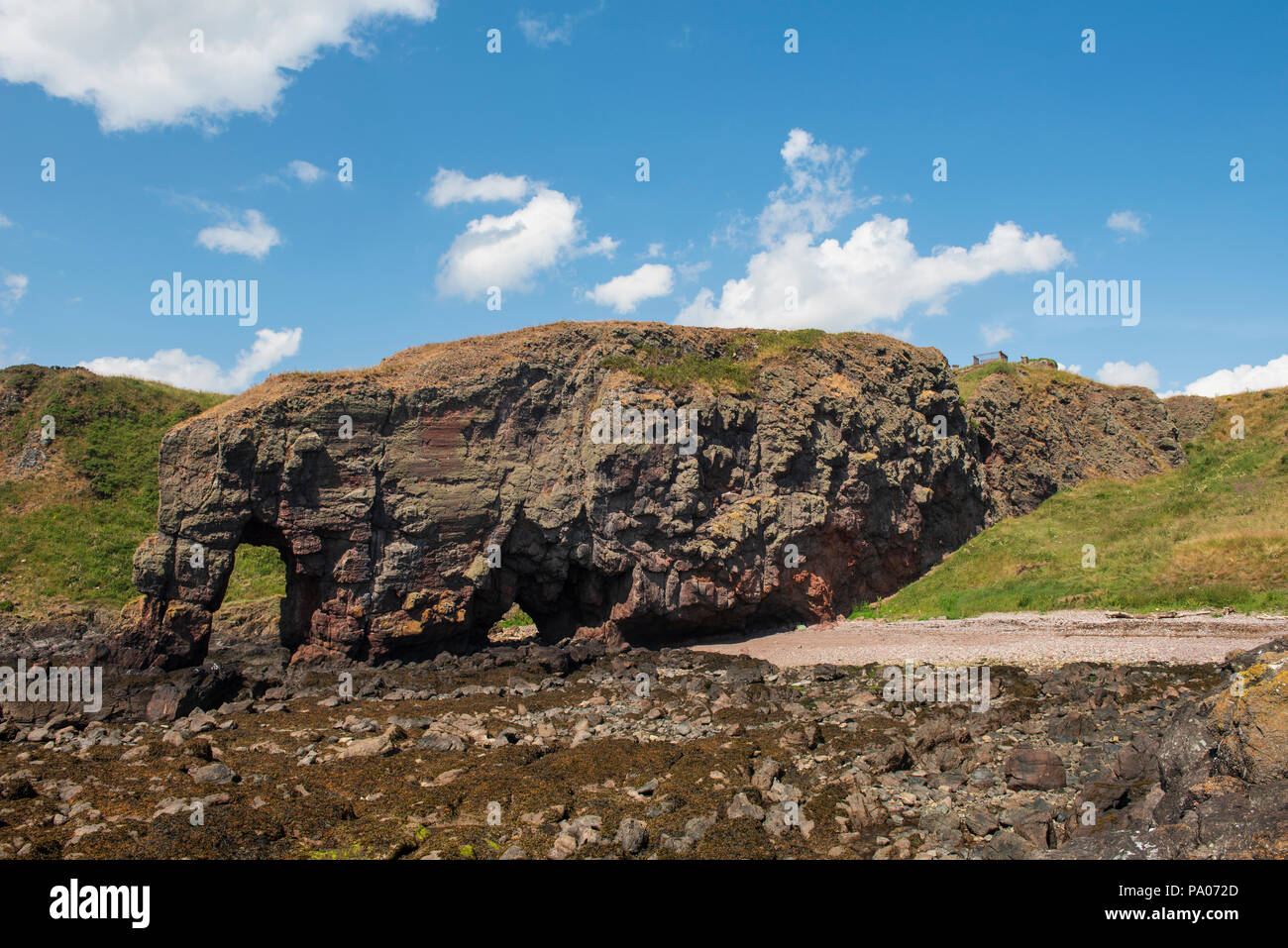 Elephant Rock, North of Lunan Bay, near Montrose,  Angus, Scotland. Stock Photo