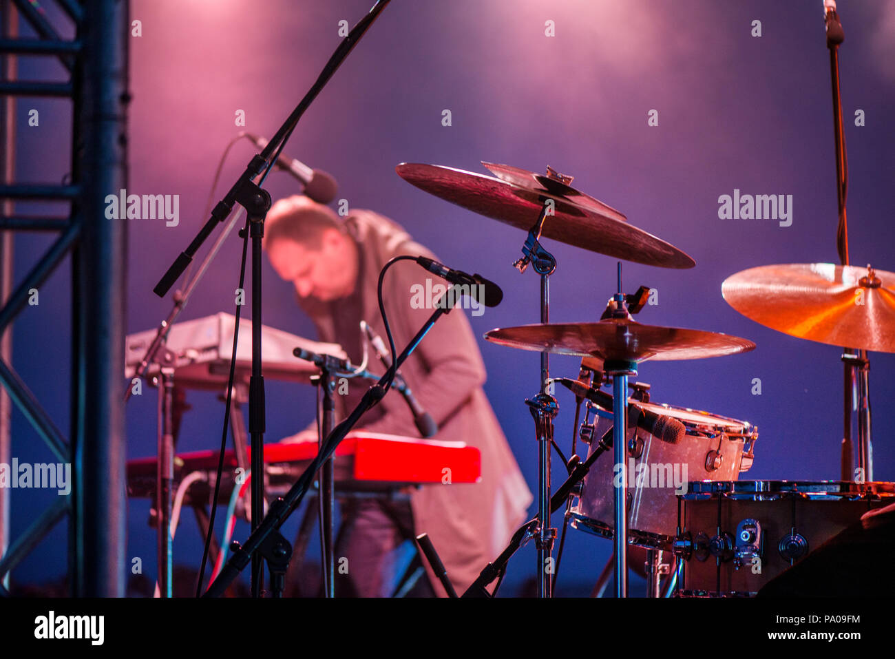 Male musician plays a musical instrument on the stage. Artist playing
