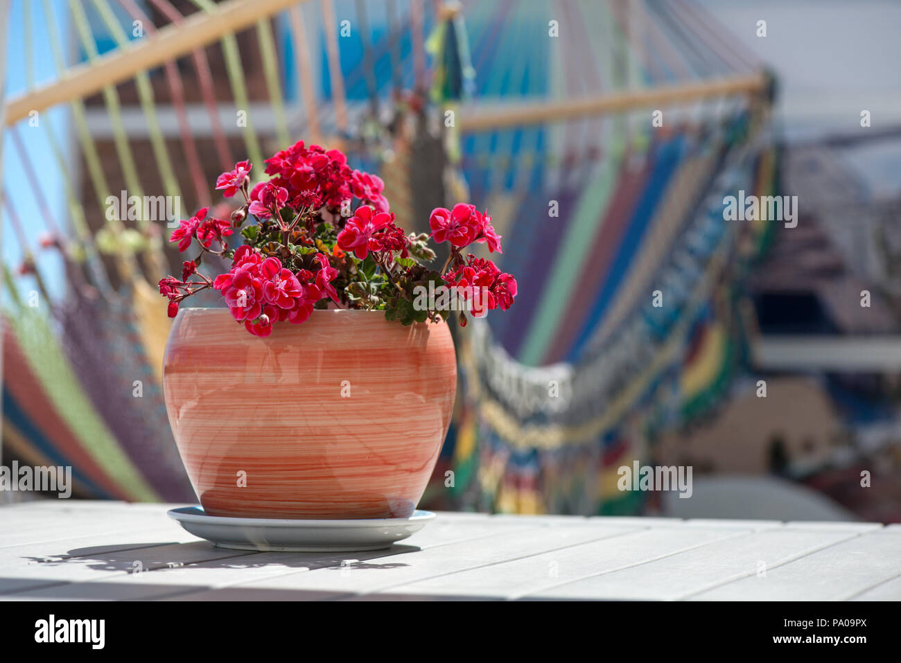 Beautiful Decorative Clay Flower Pot Standing On Table On Balcony