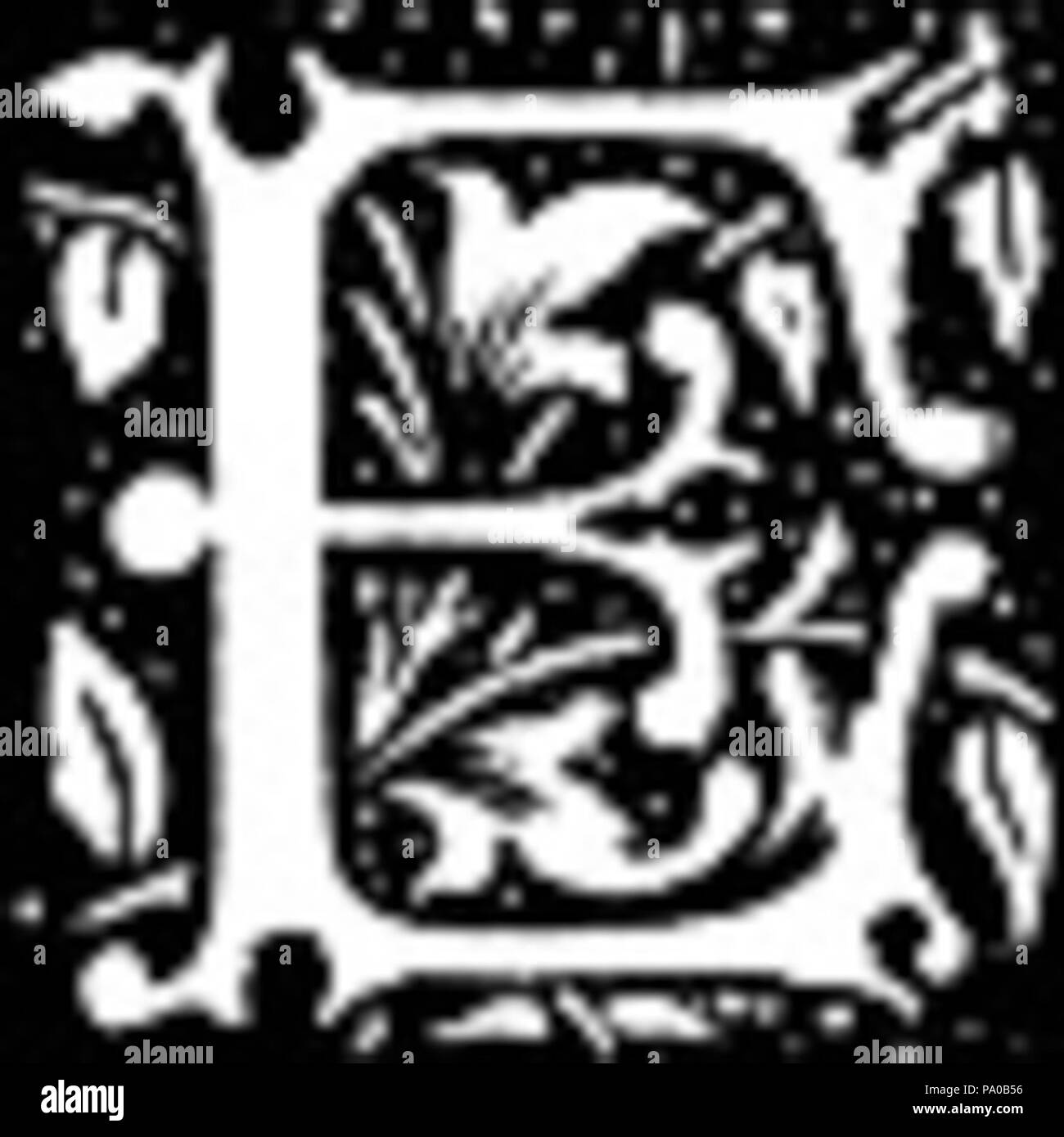 639 Fancy Letter E Image (3) Stock Photo