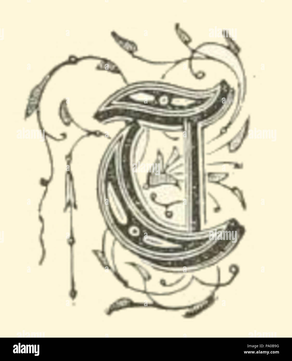 639 Fancy Letter T Image Stock Photo Alamy 639 Fancy Letter T Image Stock Photo Alamy