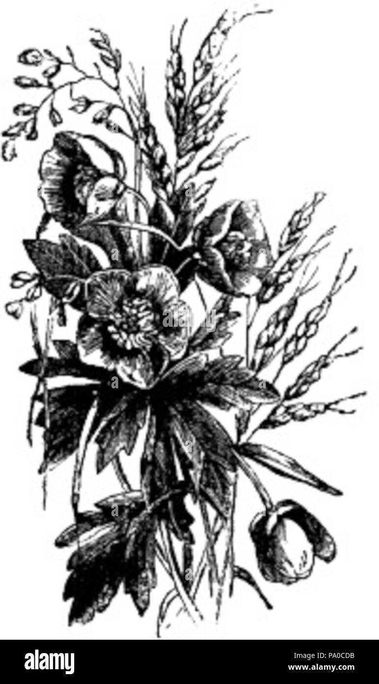 Painting bouquet Black and White Stock Photos & Images - Alamy