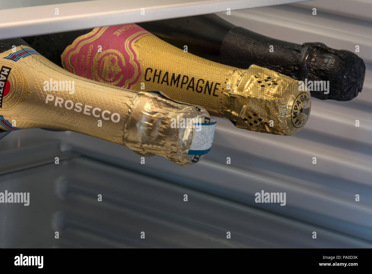 Prosecco and Champagne including Dom Perignon sparkling wine bottles stored horizontally in chilled temperature controlled wine cabinet refrigerator Stock Photo