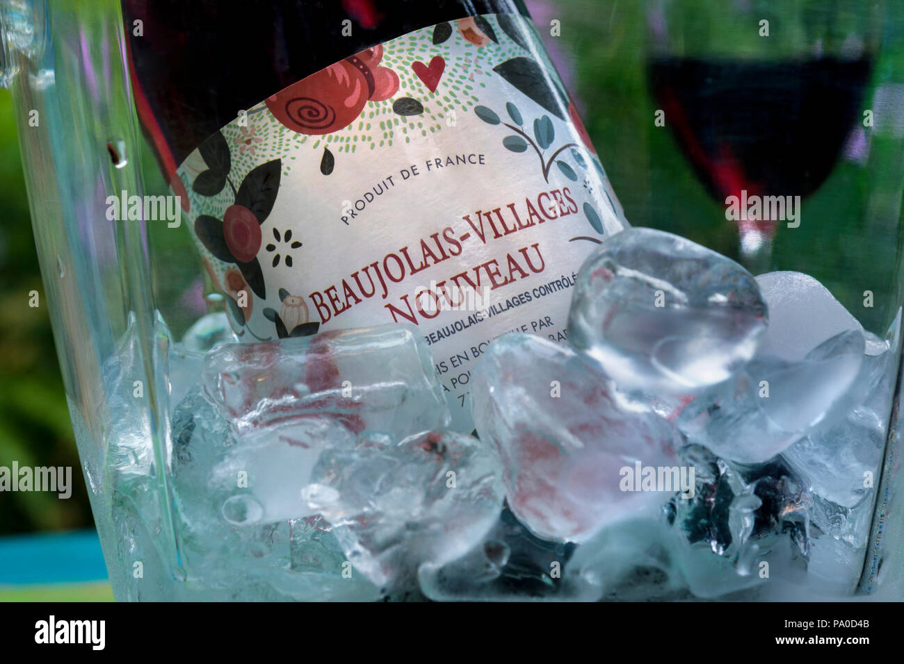 Beaujolais-Villages Nouveau French young red wine placed in iced wine cooler to drink traditionally slightly chilled alfresco summer garden situation Stock Photo