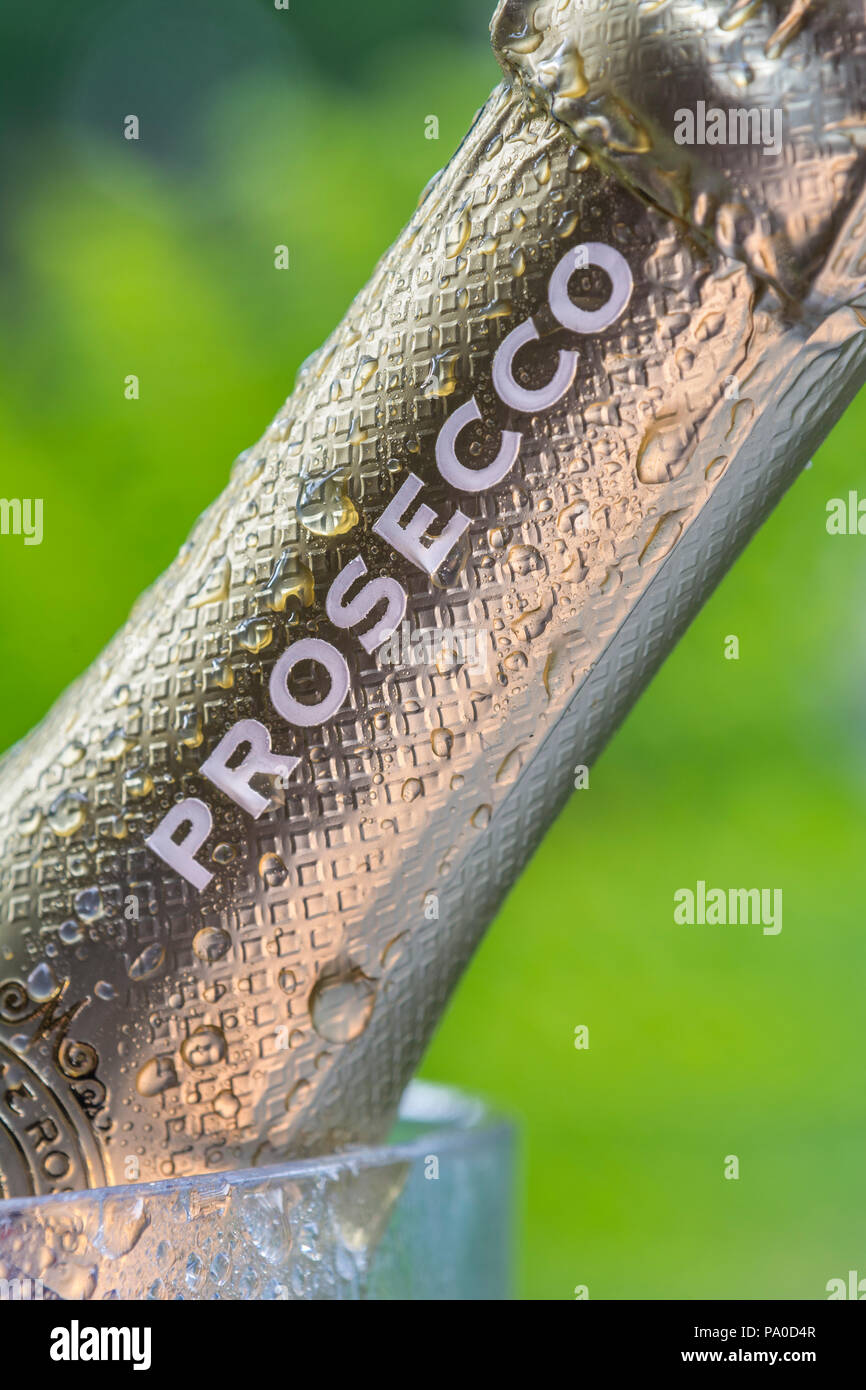 PROSECCO Close view on inviting chilled alfresco bottle of Prosecco sparkling wine foil neck name in wine cooler in garden terrace situation Stock Photo