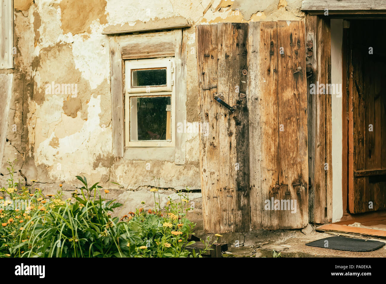 Wall of an old farm building. Natural texture. Specially preserved ...