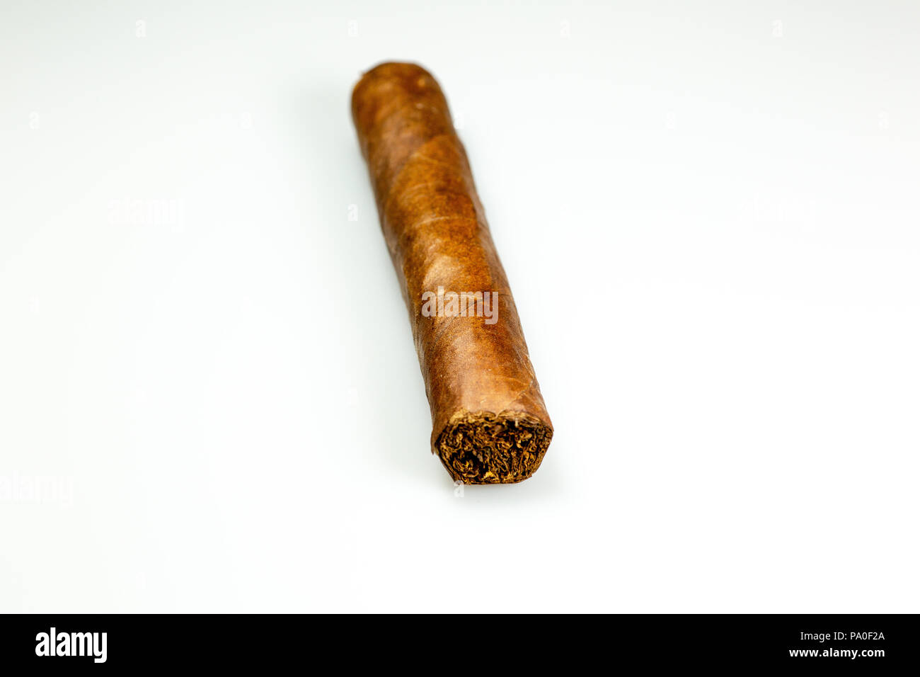 A brown cuban cigar freshly rolled on a table Stock Photo