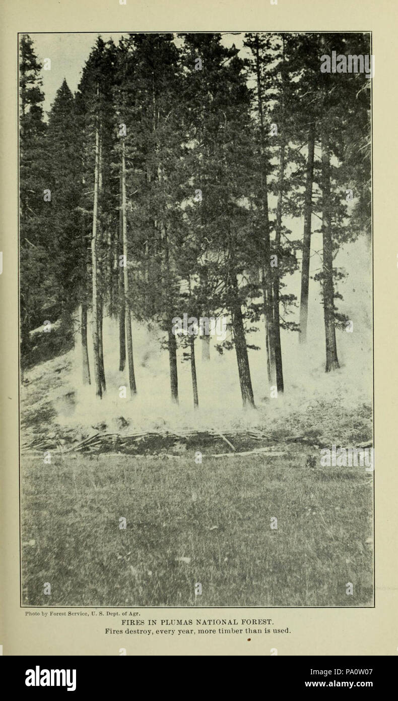 649 Fires in Plumas National Forest Stock Photo Alamy