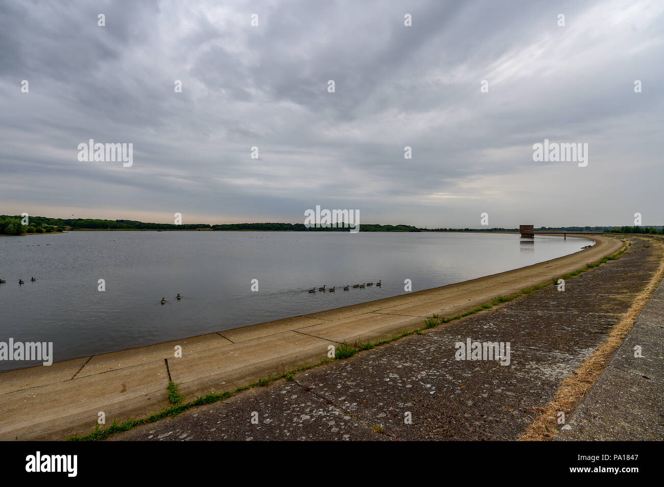 Uk heatwave 2018 wildlife hires stock photography and images Alamy