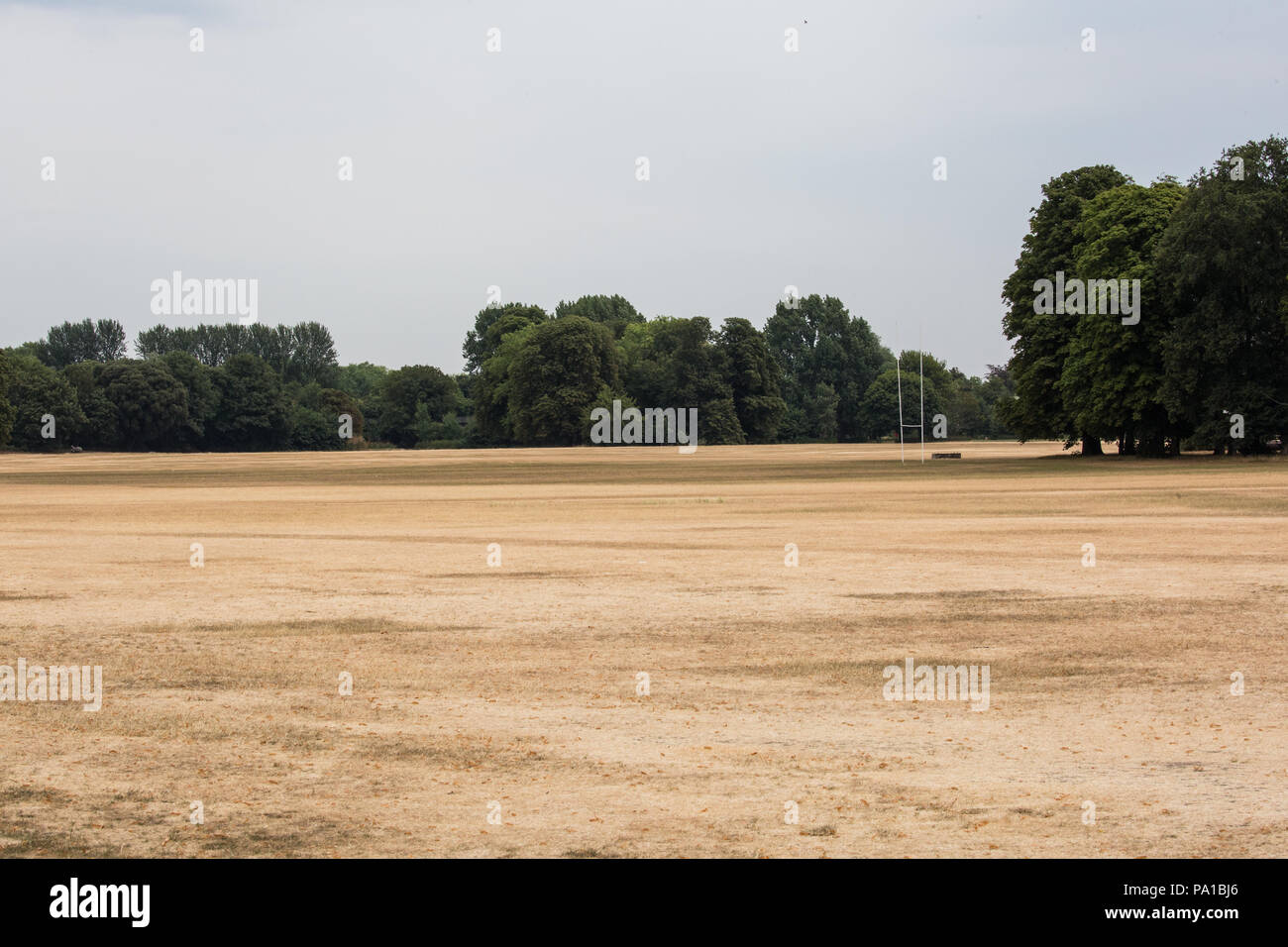 Windsor, UK. 20th July, 2018. Yellowed grass in Home Park with Windsor Castle behind following the UK's longest heatwave for more than forty years. The grass around Windsor Castle was a lush green at the time of the wedding of the Duke and Duchess of Sussex in May. Credit: Mark Kerrison/Alamy Live News Stock Photo