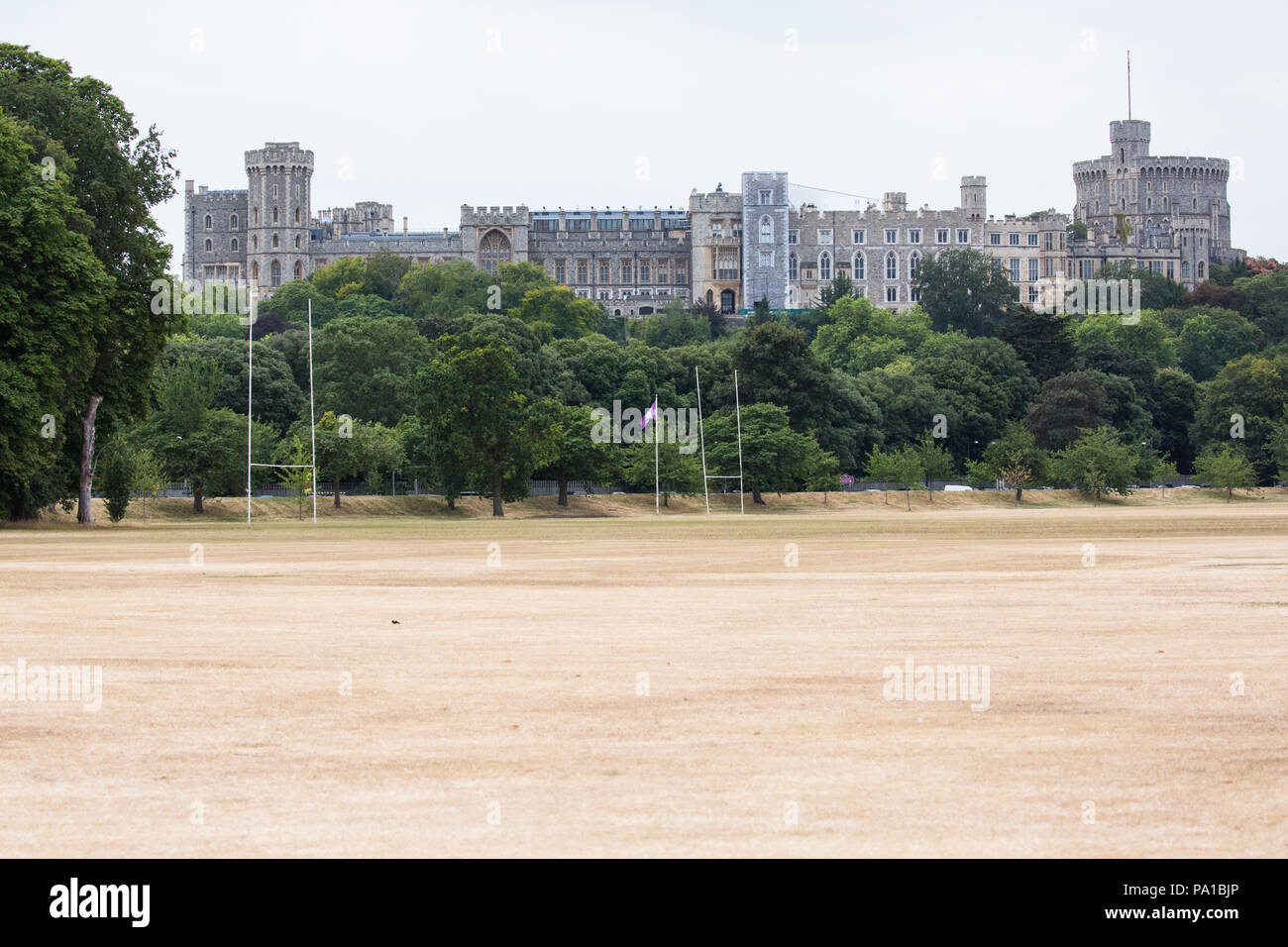 Windsor, UK. 20th July, 2018. Yellowed grass in Home Park with Windsor Castle behind following the UK's longest heatwave for more than forty years. The grass around Windsor Castle was a lush green at the time of the wedding of the Duke and Duchess of Sussex in May. Credit: Mark Kerrison/Alamy Live News Stock Photo