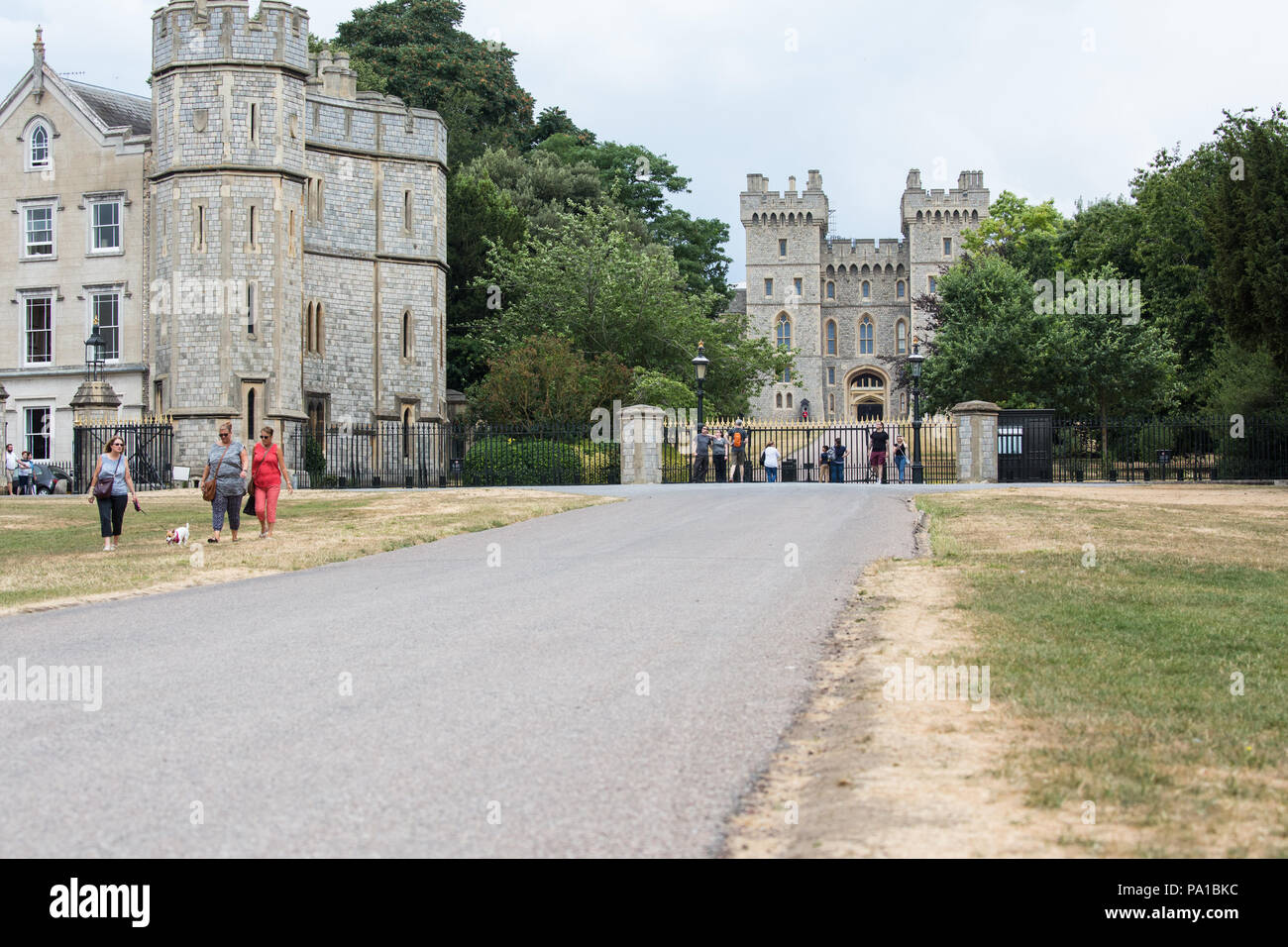 Windsor, UK. 20th July, 2018. Yellowed grass alongside the Long Walk in front of Windsor Castle following the UK's longest heatwave for more than forty years. The grass around Windsor Castle was a lush green at the time of the wedding of the Duke and Duchess of Sussex in May. Credit: Mark Kerrison/Alamy Live News Stock Photo