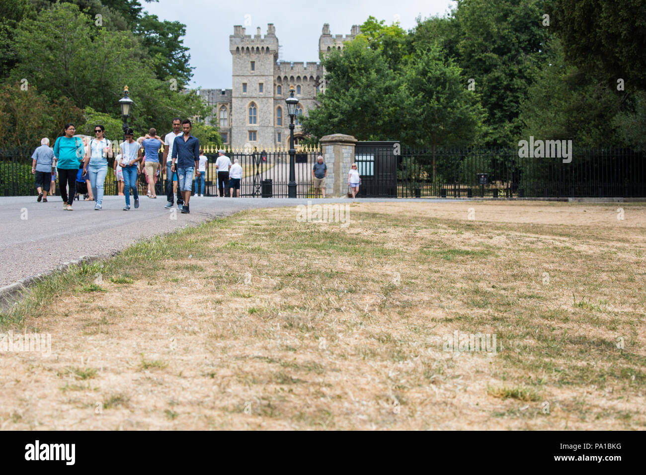 Windsor, UK. 20th July, 2018. Yellowed grass alongside the Long Walk in front of Windsor Castle following the UK's longest heatwave for more than forty years. The grass around Windsor Castle was a lush green at the time of the wedding of the Duke and Duchess of Sussex in May. Credit: Mark Kerrison/Alamy Live News Stock Photo