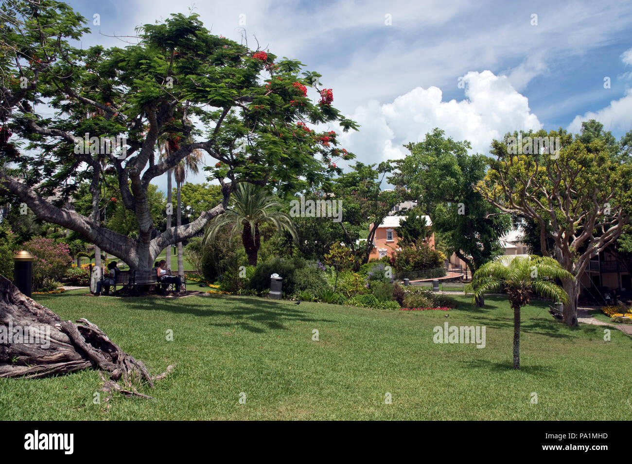 Office workers have their lunch in Victoria Park, in central Hamilton, Bermuda. Stock Photo