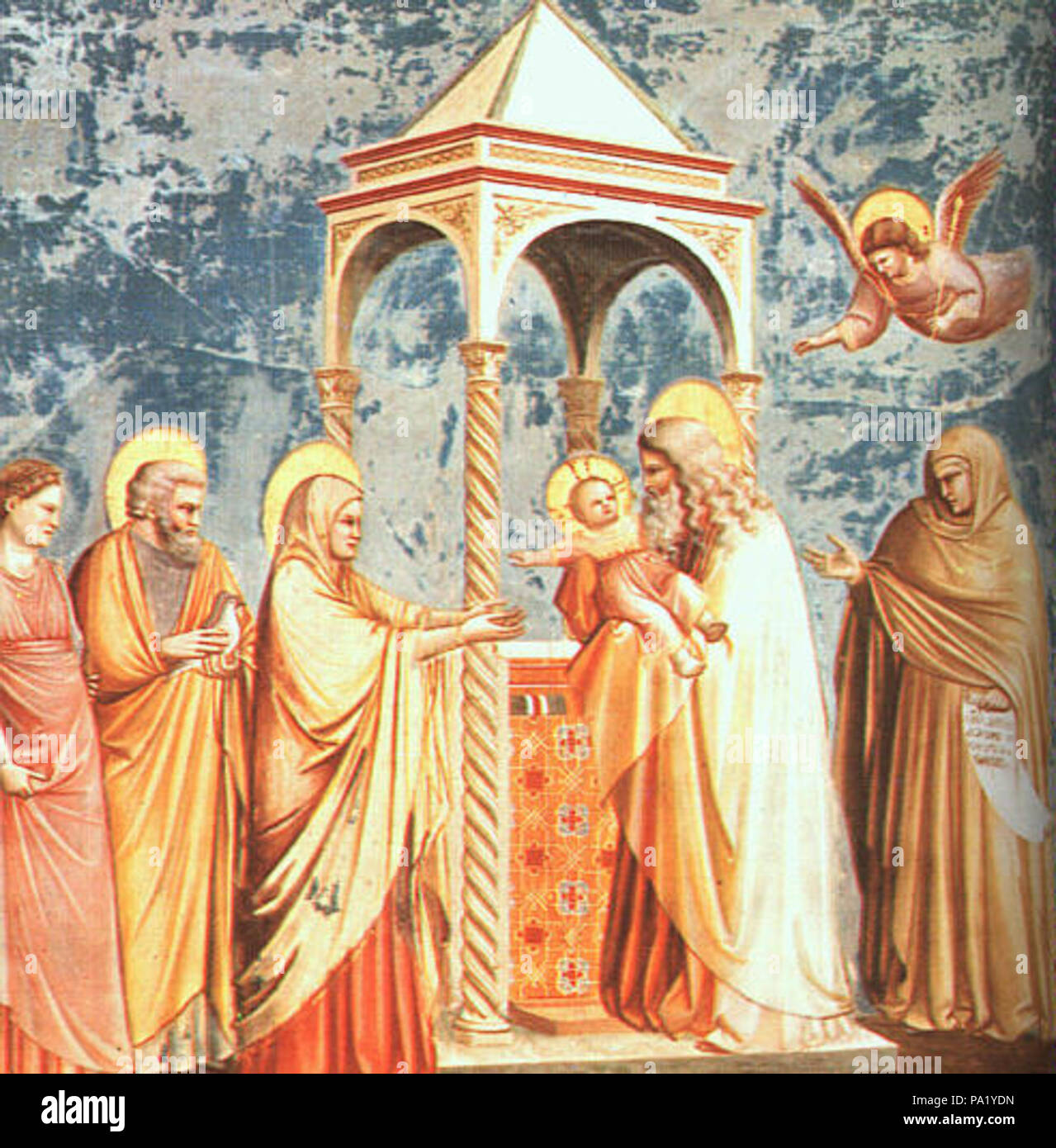 giotto presentation in the temple